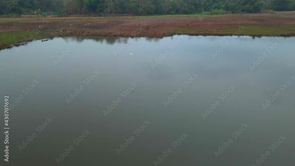 drone following bird over the farm and river Heron seagulls still water reflection. drone following bird over the farm and river Heron seagulls still water reflection.