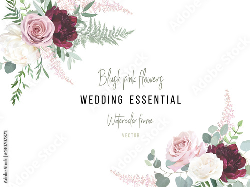 Greenery, burgundy red and white peony, blush rose flowers vector