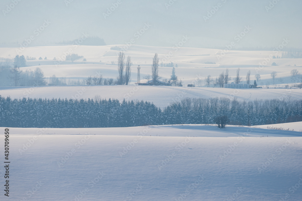北海道の冬景色 美瑛の丘の風景