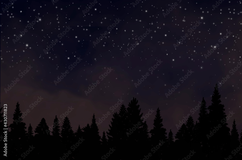 Conifer forest and bright stars in dark night