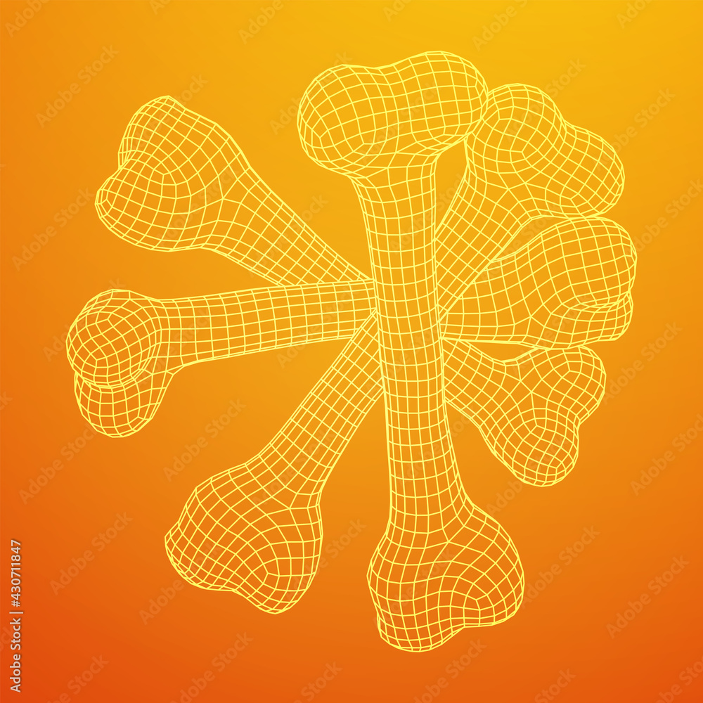 Anatomy Dog Bone object. Wireframe low poly mesh vector illustration Anatomy Dog Bone object. Wireframe low poly mesh vector illustration