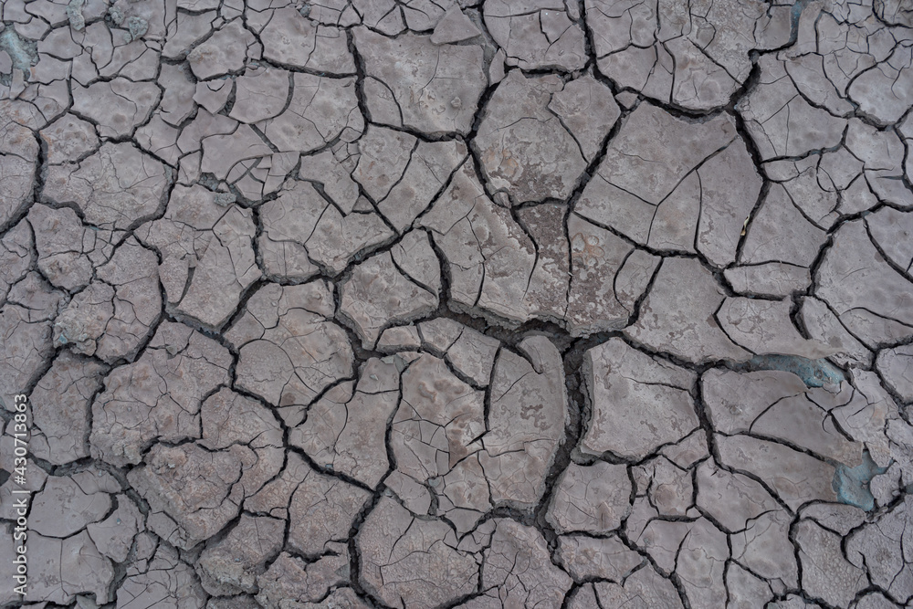 Fototapeta premium The cracked soil will be seen during the dry season.