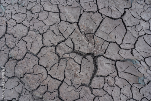 The cracked soil will be seen during the dry season.
