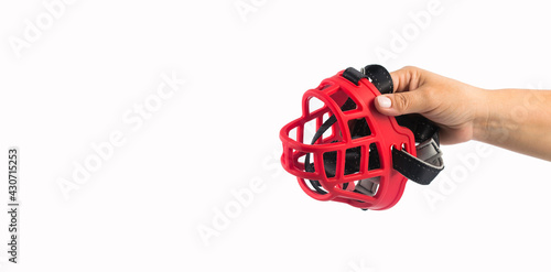 Canvas Print Hand holds dog muzzle - White background