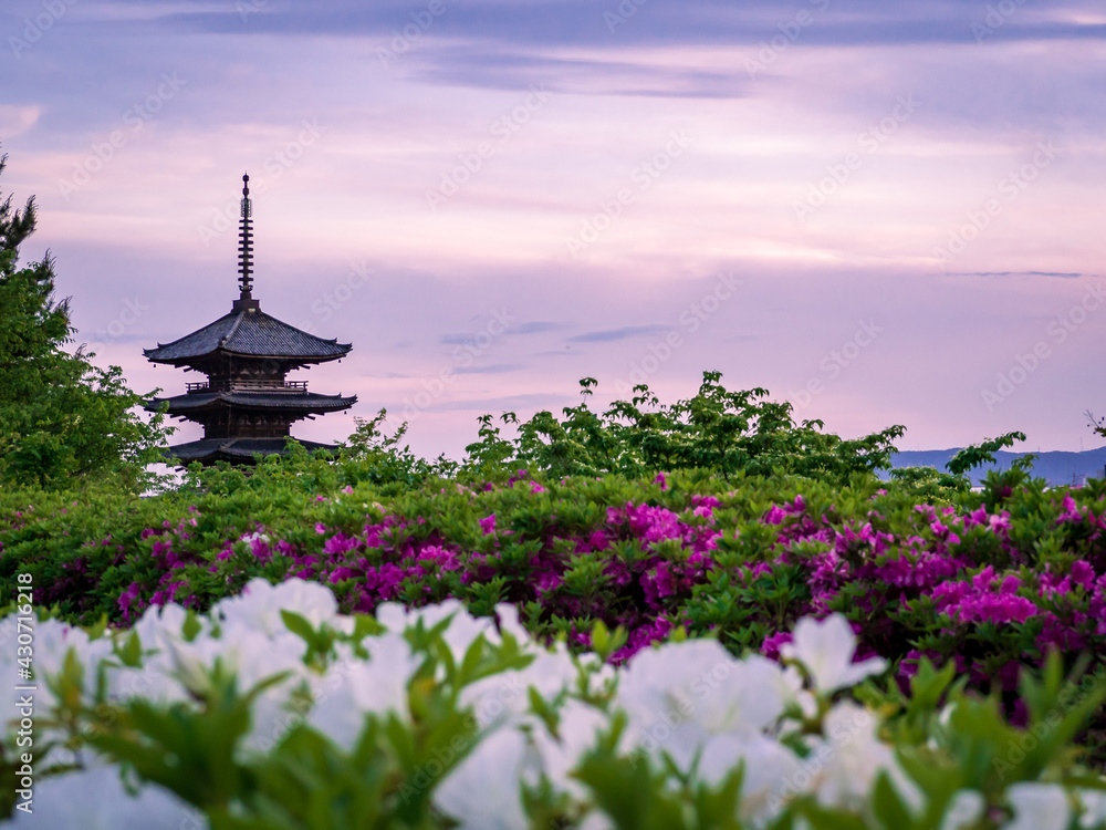 五重塔と満開のつつじ