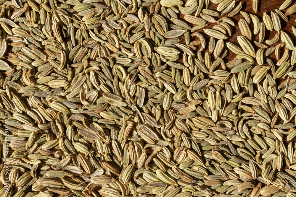 A close-up view of dried fennel seeds. A close-up view of dried fennel seeds.