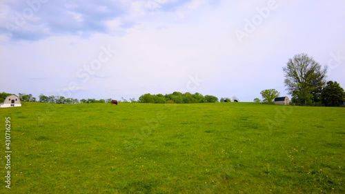 Rural Maryland, vast farm areas with farmhouses, ranches and byways in Frederick County. Spring time with green pastures, wild flowers, and cattle grazing free range. Vintage farm concept.