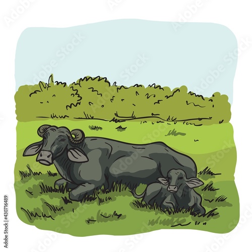 cow breeding. animal husbandry. livestock. vector sketch on a white background
