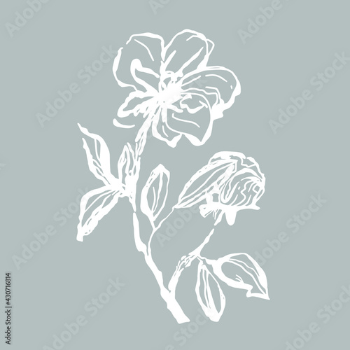 flower branch with leaves and unopened bud isolated vector background