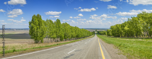 The road among the meadows and forests. Panoramic spring view.