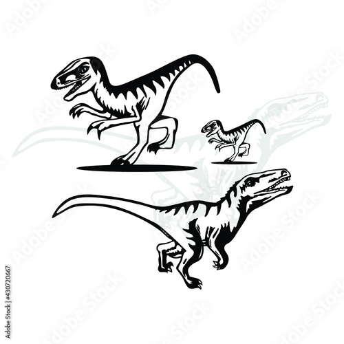 Flat dinosaurus Raptor illustration vector