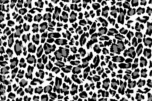 Leopard Patten Illustration