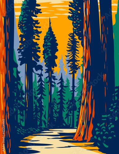 WPA Poster Art of the Simpson-Reed Grove of Coast redwoods located in Jedediah Smith State Park part of Redwood National and State Parks in California done in works project administration style. photo