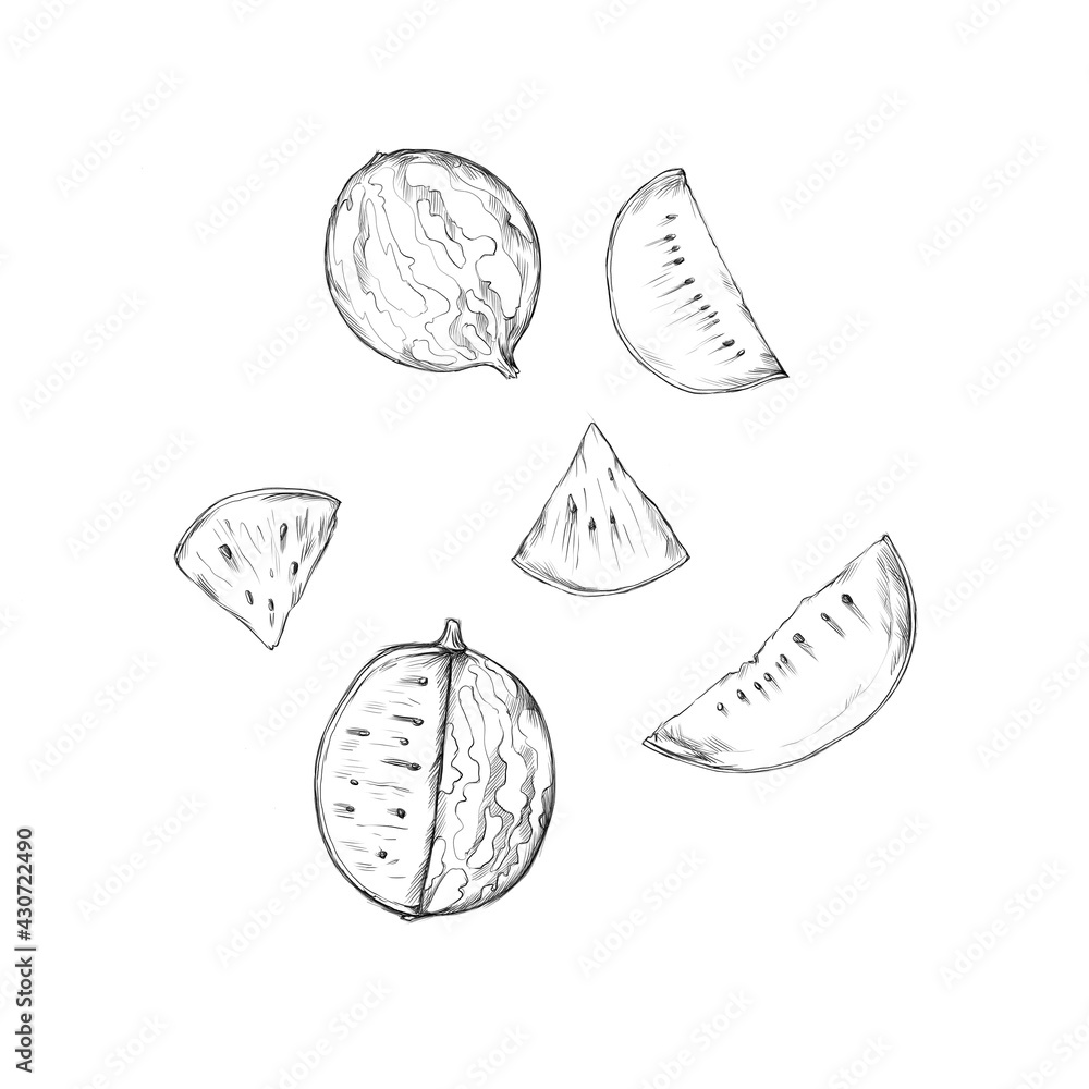 Watermelon, whole and in pieces Watermelon, whole and in pieces