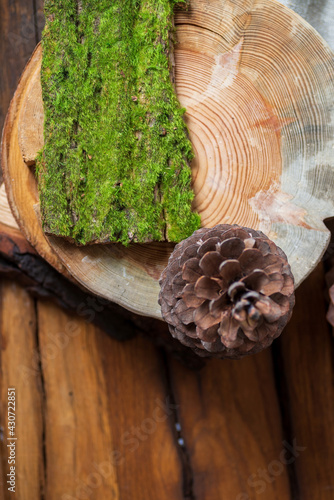 A round wooden board covered with moss, against a background of pine branches, tablecloths and cones. Vertacal photo