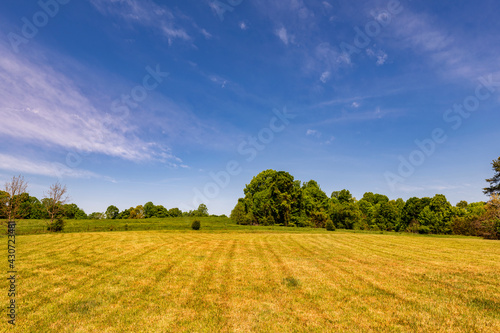 landscape with blue sky, clouds  and green grass