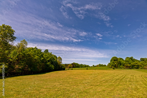 field and blue sky
