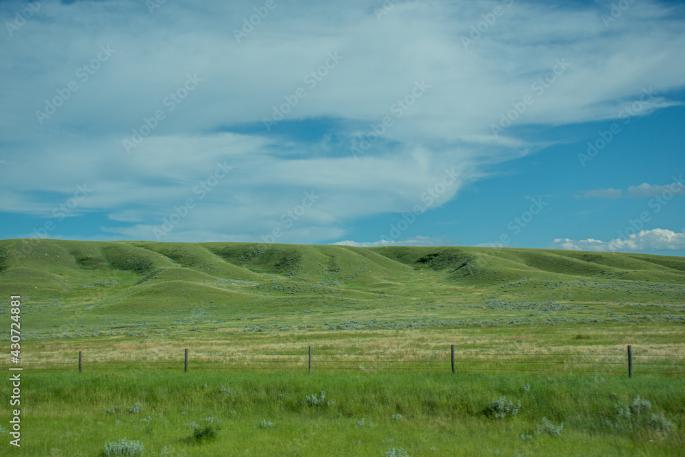 green field and sky in SK, Canada green field and sky in SK, Canada