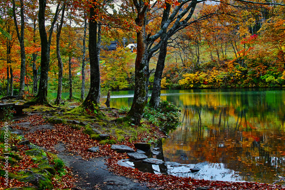 秋の風景（山形蔵王のドッコ沼）
