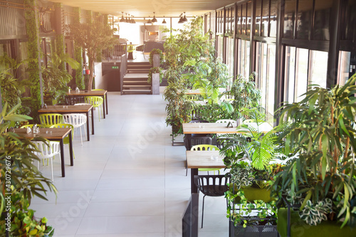 Restaurant in a modern style with green plants. Ecology design. © erika8213