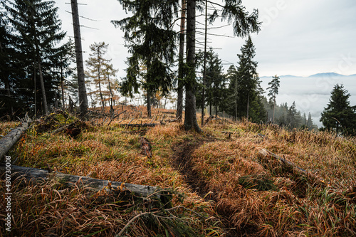 Mountain landscape. Misty forest. Natural outdoor travel background. Slovakia, Low Tatras, Demenovska hora and dolina vyvierania. Liptov travel. photo