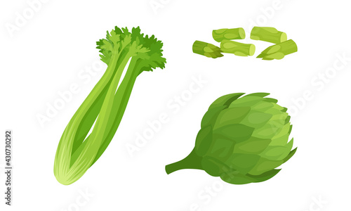 Celery, Asparagus and Globe Artichoke as Cultivated Vegetable for Vegetarian Nutrition Vector Set