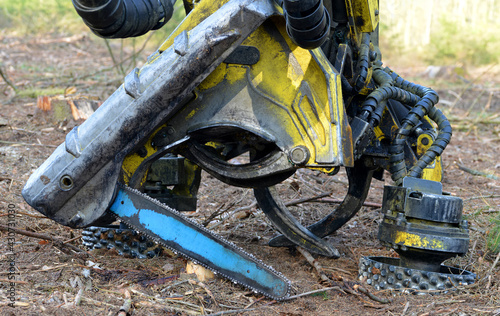 Принти на полотні Cutting head of a tree felling harvester close up.