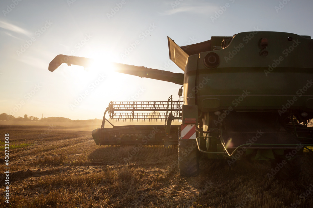Fototapeta premium Combine with extended unloader pipe during sunset