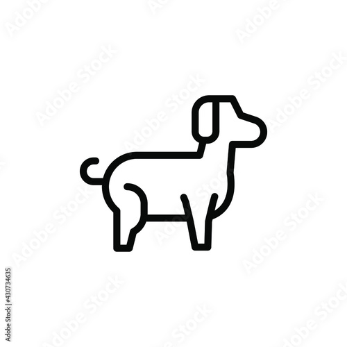dog animal vector line icon