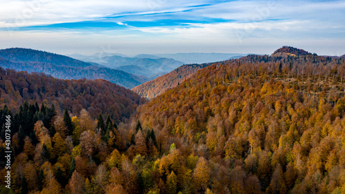 Beautiful autumnal landscape in the forest from hendek in Turkey