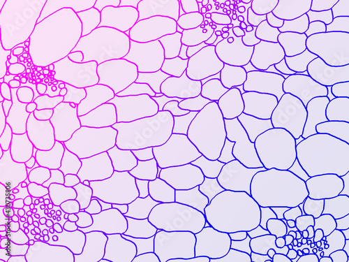 細胞風の模様赤青_素材_横