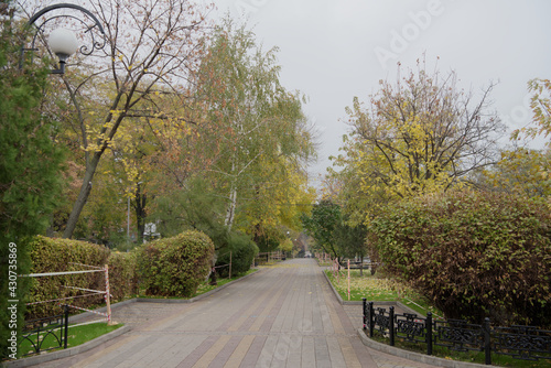 Pushkinskaya Street in autumn day © Aleksandr