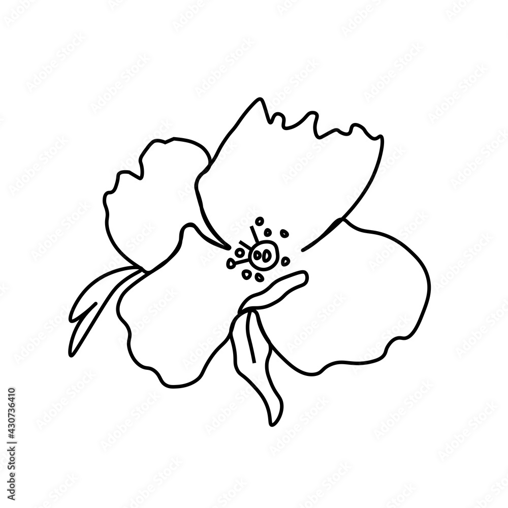 One simple vector flower with a black line.Botanical hand drawn illustration on isolated background.Vintage doodle style picture.Design for packaging, poster,social media,invitation,greeting card. One simple vector flower with a black line.Botanical hand drawn illustration on isolated background.Vintage doodle style picture.Design for packaging, poster,social media,invitation,greeting card.
