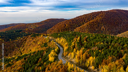 Photography The road through the forest was shotfrom the air with a Drone.