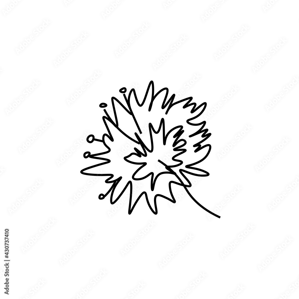 One simple vector flower with a black line.Botanical hand drawn illustration on isolated background.Vintage doodle style picture.Design for packaging, poster,social media,invitation,greeting card.