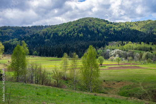 View of cherry orchard near Trukhaniv village photo