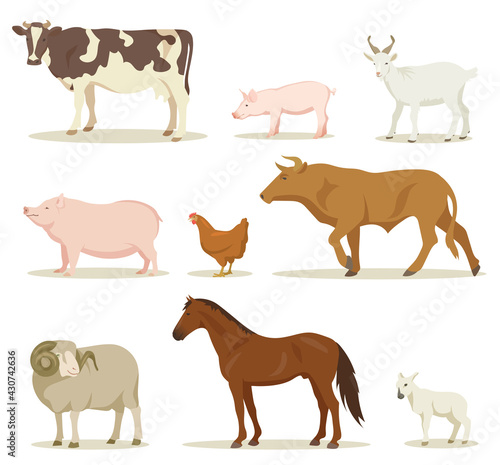 Cartoon domestic animals vector illustrations set. Collection of farm animals  hen  horse  sheep  goat  pig  cow  bull isolated on white background. Domestic animals  pets  farming  concept