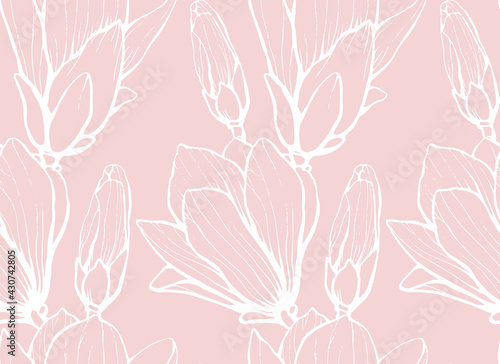 Seamless pattern with hand drawn magnolia flower. Vector illustration. Botanical pattern for textiles and wallpapers