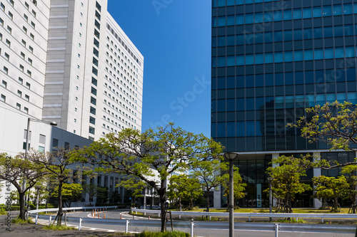 (東京都ｰ都市風景)有明駅へ続く遊歩道風景４