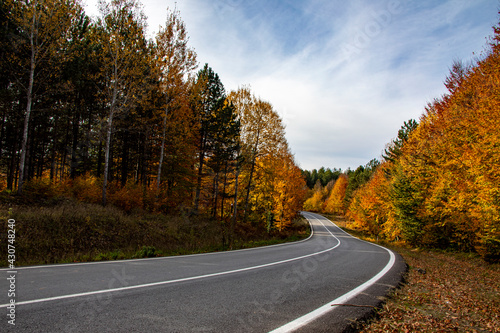 A beautiful road view through the forest in autumn.