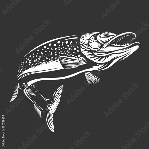 Pike fishing emblem. Pike fish logo vector. Outdoor fishing background theme. Angry fish logo.