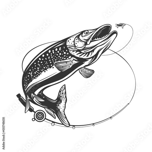 Pike fishing emblem. Pike fish logo vector. Outdoor fishing background theme. Angry fish logo.