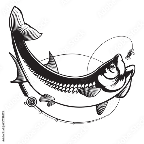 Tarpon fishing emblem. Black and white illustration of tarpon. Vector can be used for web design, cards, logos and other design