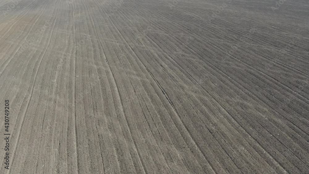 Empty cultivated field before sowing grain