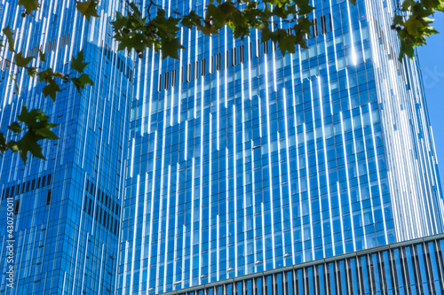 modern office building with green leaves