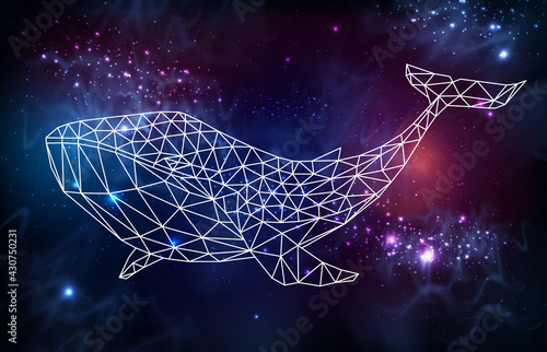 Hipster polygonal whale silhouette on outer space background. Vector illustration