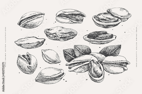 Hand-drawn pistachio nuts. Tropical fetus, open and whole. Organic food concept. It can be used as a decoration element for markets, menus, and packaging. Vintage botanical illustrations.