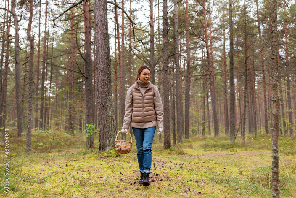 season, leisure and people concept - young asian woman with basket walking in autumn forest and picking mushrooms season, leisure and people concept - young asian woman with basket walking in autumn forest and picking mushrooms