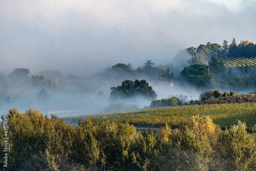 Fototapeta premium Magical outline of a misty valley in the morning landscape, the countryside of Tuscany, Italy, Europe