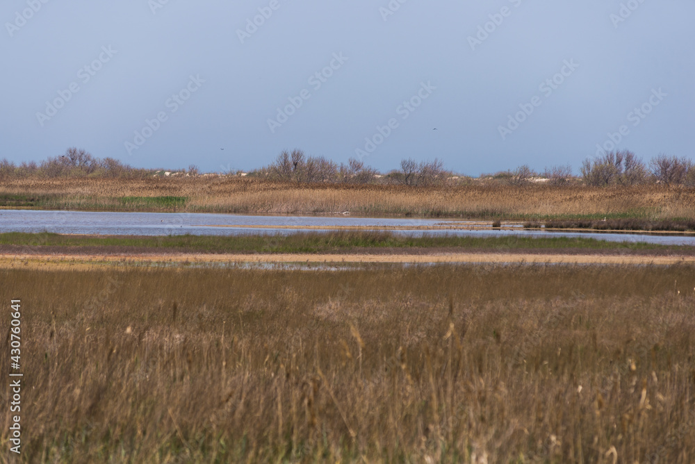 Landscape of wild steppe of Black sea coast